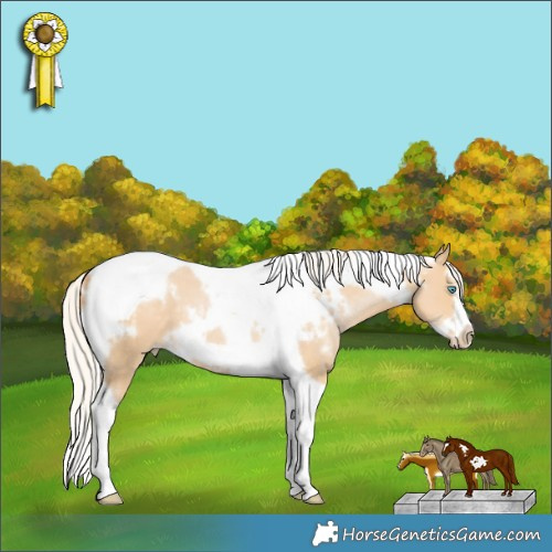 Horse Color:White Spotted Silver Smoky Black Pearl Splash Tobiano Frame 