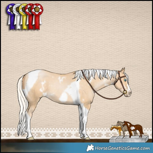 Horse Color:White Spotted Silver Smoky Black Pearl Splash Tobiano Frame