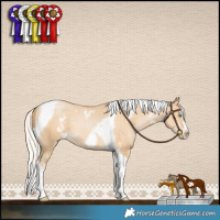 Horse Color:White Spotted Silver Smoky Black Pearl Splash Tobiano Frame