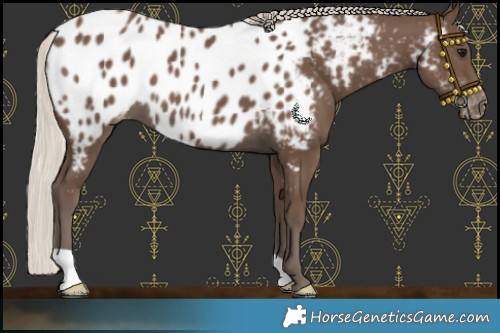Horse Color:Silver Black Blanket 