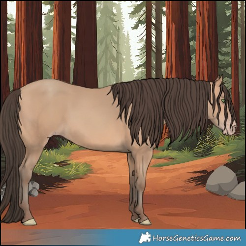 Horse Color:Amber Champagne