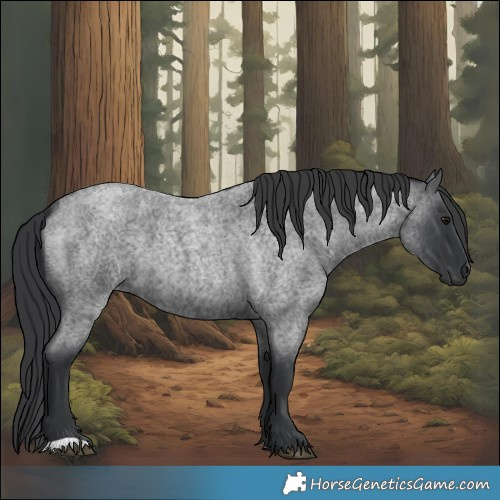Horse Color:Blue Roan