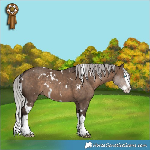 Horse Color:White Spotted Silver Brown Dun Splash Rabicano Brindle