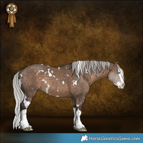 Horse Color:White Spotted Silver Brown Dun Splash Rabicano Brindle