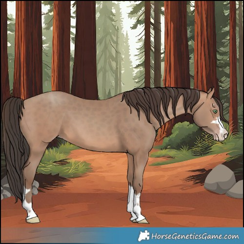 Horse Color:Sable Champagne