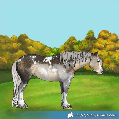 Horse Color:White Spotted Silver Buckskin Splash 