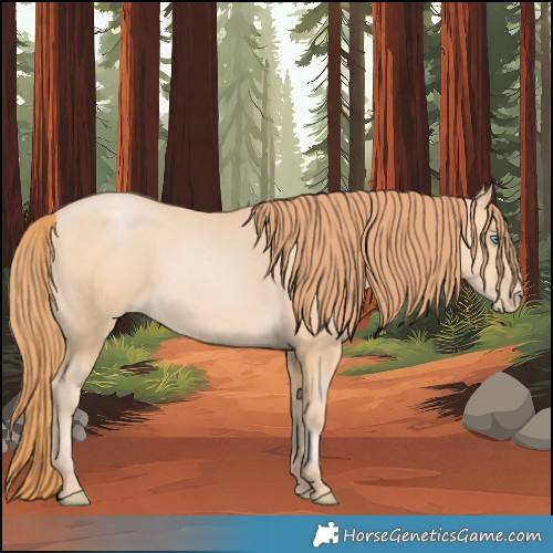 Horse Color:Buckskin Pearl