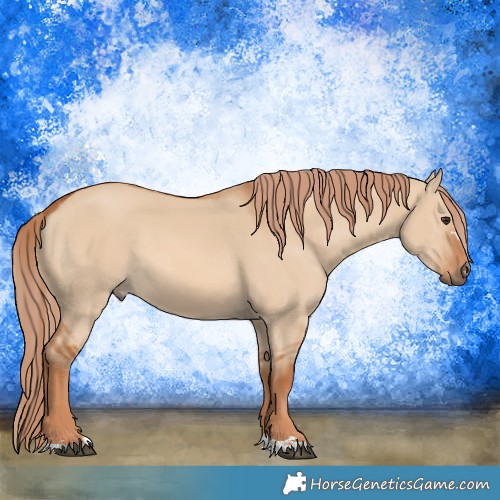 Horse Color:Red Dun 
