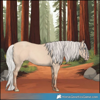 Horse Color:Silver Classic Champagne Dun