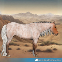 Horse Color:Silver Bay Roan