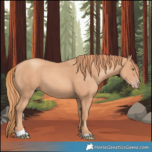 Horse Color:Gold Champagne 