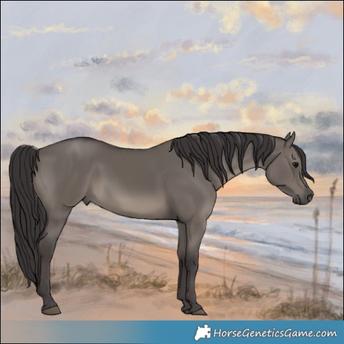 Horse Color:Smoky Grullo 