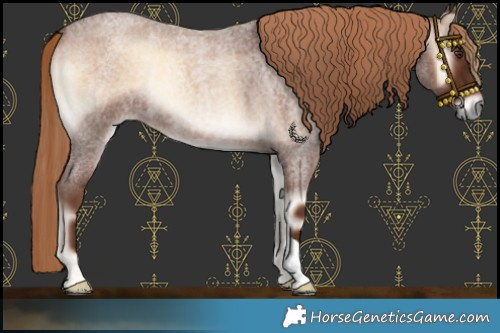 Horse Color:Red Onyx Roan 