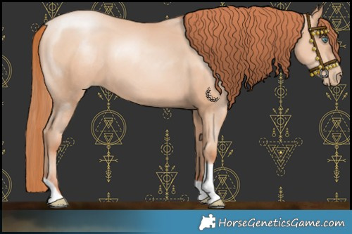 Horse Color:Amber Champagne Pearl Tobiano