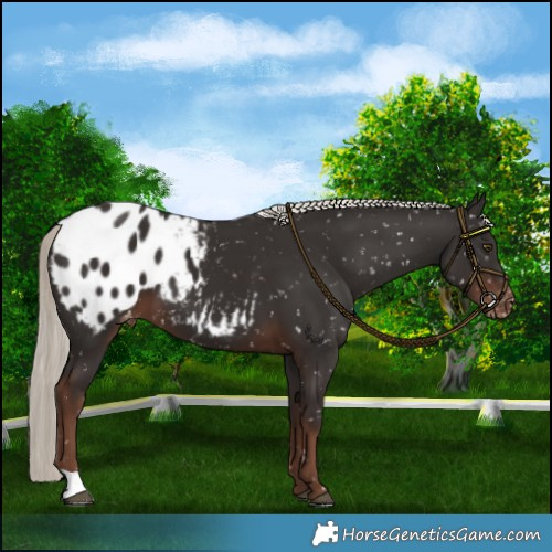 Horse Color:Liver Chestnut Mushroom Blanket