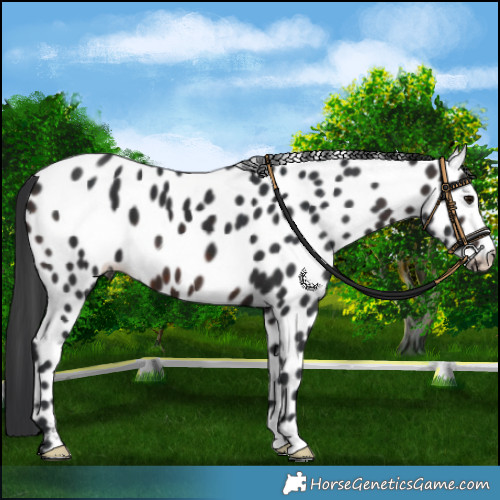 Horse Color:Brown Mushroom Near Leopard