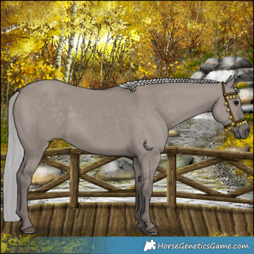 Horse Color:Platinum Silver Smoky Grullo Rabicano