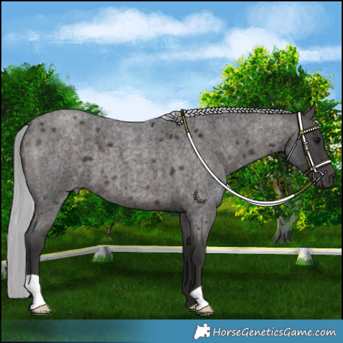 Horse Color:Platinum Silver Brown Roan 