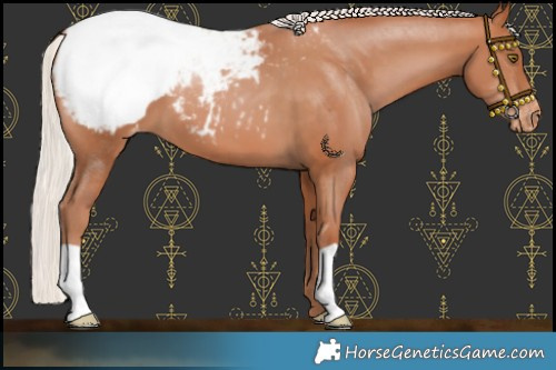 Horse Color:Chocolate Silver Brown Pearl Snowcap 