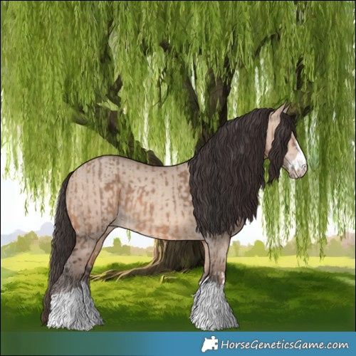 Horse Color:Bay Dun  and Amber Champagne Dun 