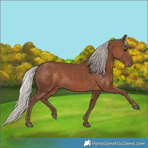 Horse Color:Silver Black 