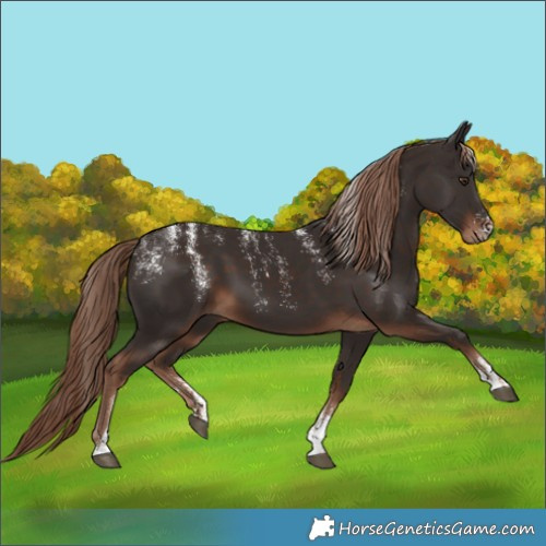 Horse Color:Powder White Liver Chestnut 