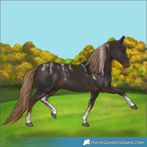 Horse Color:Powder White Liver Chestnut 