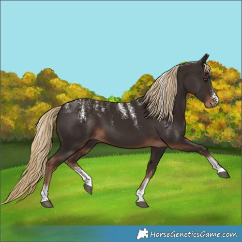 Horse Color:Powder White Liver Chestnut 