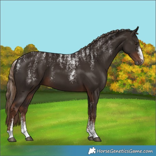 Horse Color:Powder White Liver Chestnut 