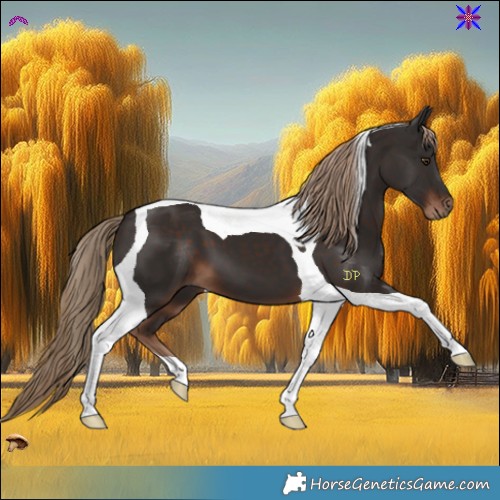 Horse Color:Liver Chestnut Tobiano 