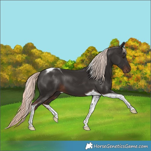 Horse Color:Liver Chestnut Mushroom Tobiano 