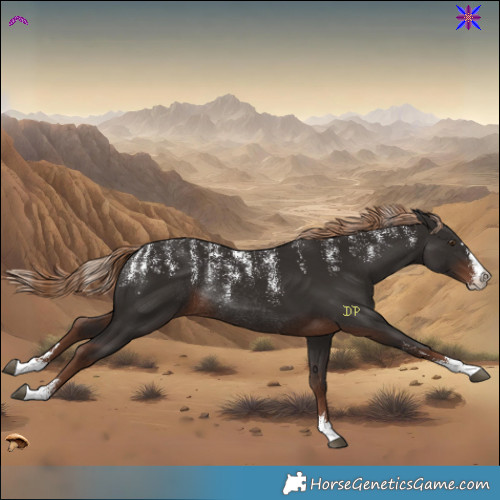 Horse Color:Powder White Liver Chestnut Rabicano