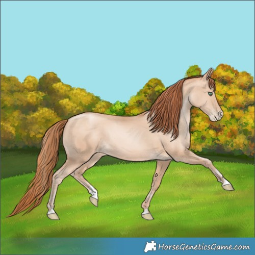Horse Color:Sable Champagne Pearl Rabicano 
