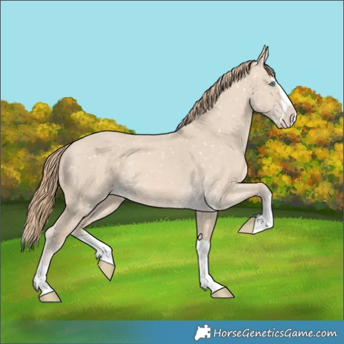 Horse Color:Perlino Dun Splash Snowflake Varnish