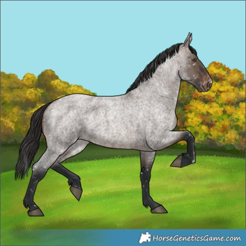 Horse Color:Brown Roan Dun Snowflake Varnish 