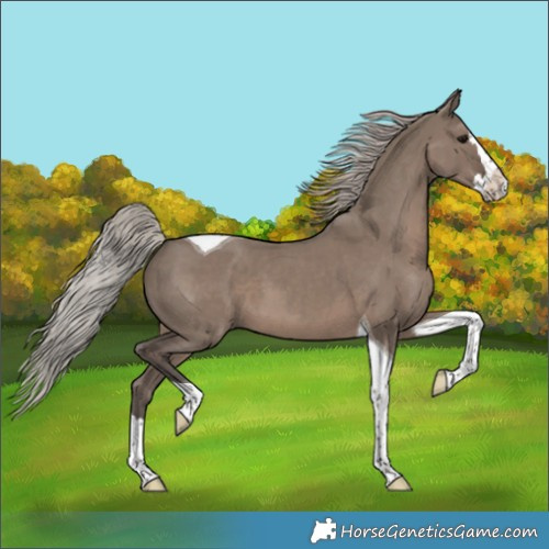 Horse Color:Silver Grullo Splash Tobiano