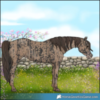 Horse Color:Black  and Classic Champagne 