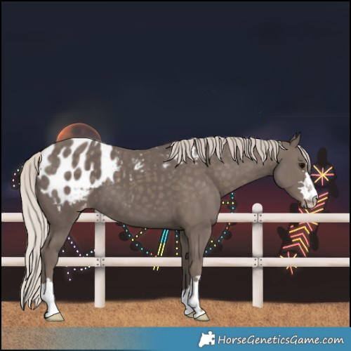 Horse Color:Silver Black Blanket 