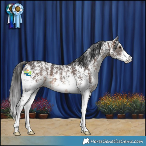 Horse Color:Black Sabino  and Brown Sabino 