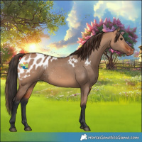 Horse Color:Bay Dun Skewed LP Spotted 