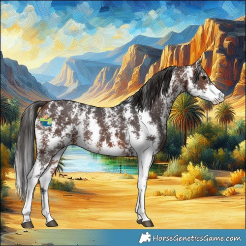Horse Color:Bay Sabino