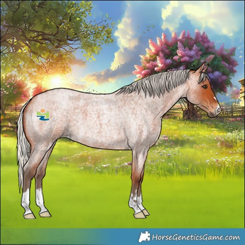 Horse Color:Silver Bay Roan 