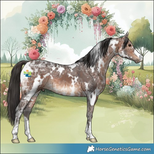 Horse Color:White Spotted Brown Ice 