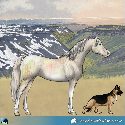 Horse Color:Chocolate Palomino Pearl Tobiano Frame  and Chocolate Palomino Pearl Dun Tobiano Frame 