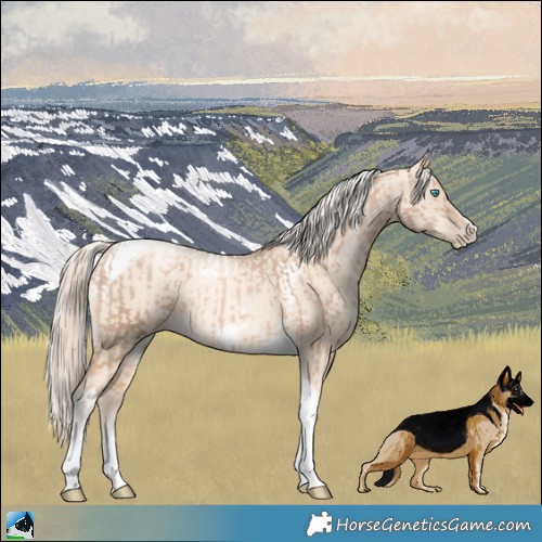 Horse Color:Chocolate Palomino Pearl Tobiano Frame and Chocolate Palomino Pearl Dun Tobiano Frame