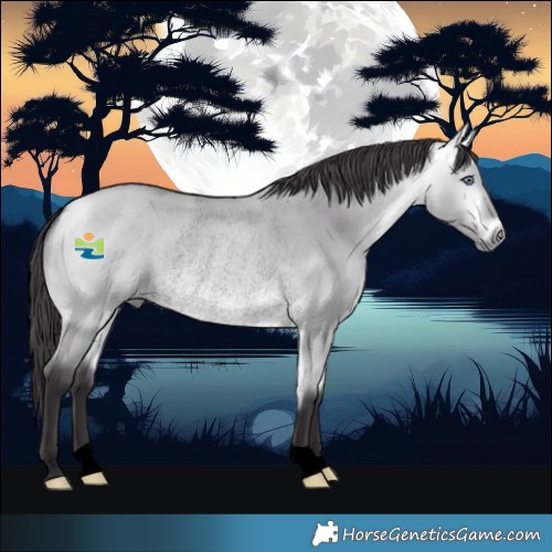 Horse Color:Void Buckskin Chinchilla Dun Rabicano 