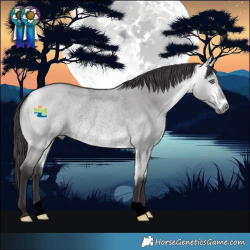 Horse Color:Void Buckskin Chinchilla Dun Rabicano