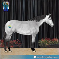 Horse Color:Void Buckskin Chinchilla Dun Rabicano 