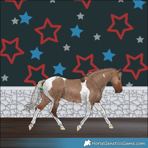 Horse Color:Silver Bay Dun Tobiano Rabicano 