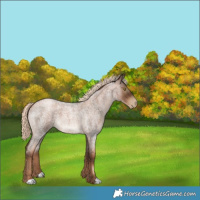 Horse Color:Gray Liver Red Roan Pearl Mushroom 